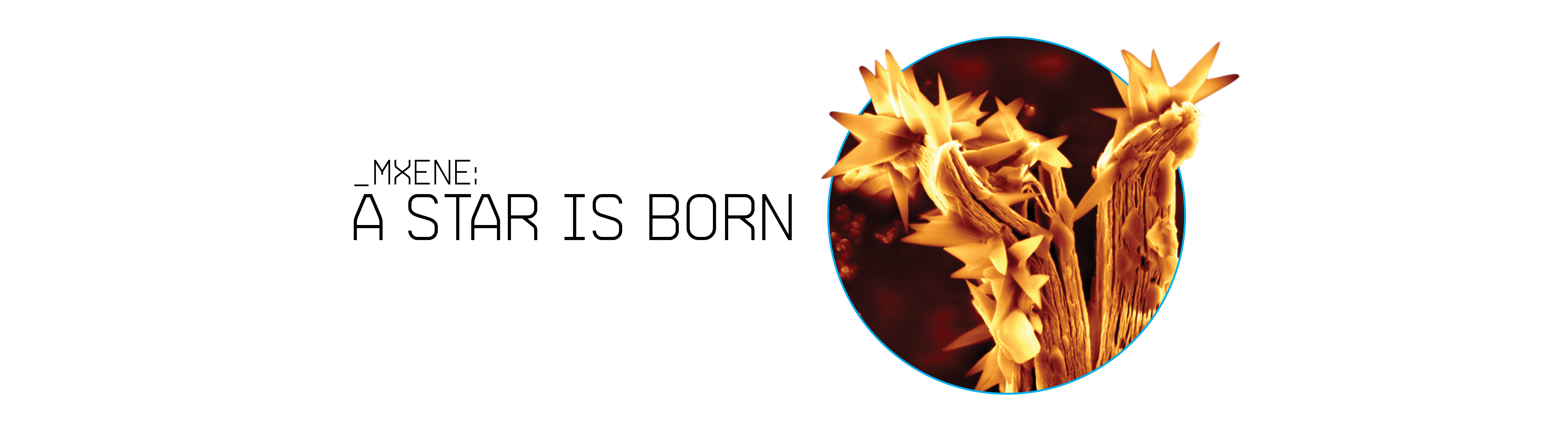 MXene: A 2D Star is Born