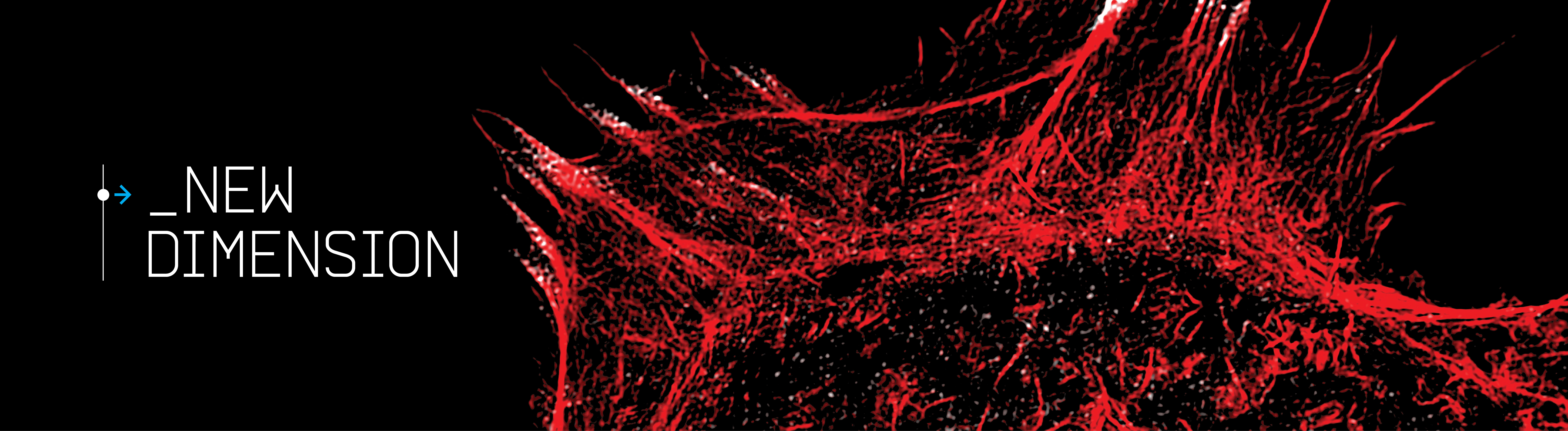 New Dimension