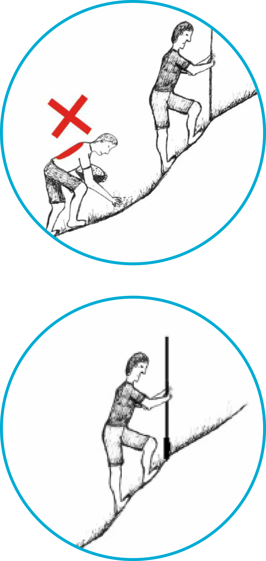 Seed Circle Illustrations