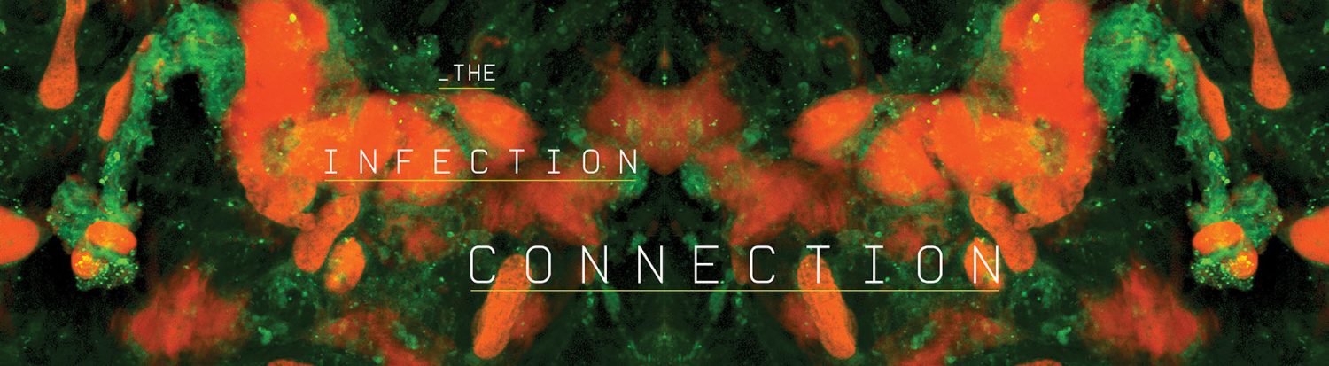 The Infection Connection