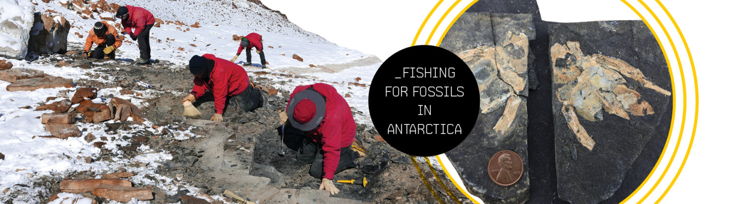 Fishing for Fossils in Antarctica