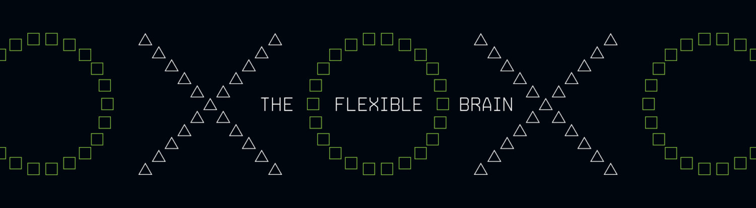 The Flexible Brain