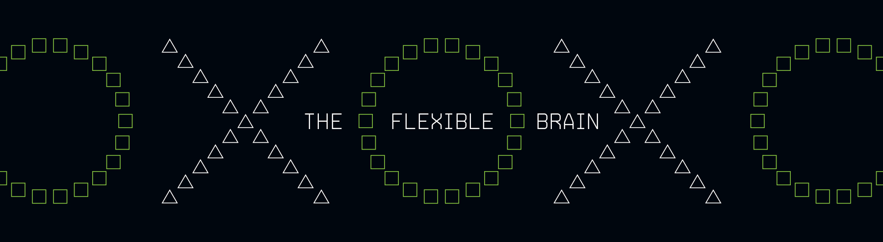 The Flexible Brain