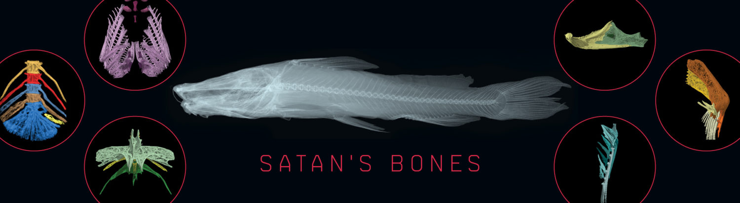 Satan’s Bones