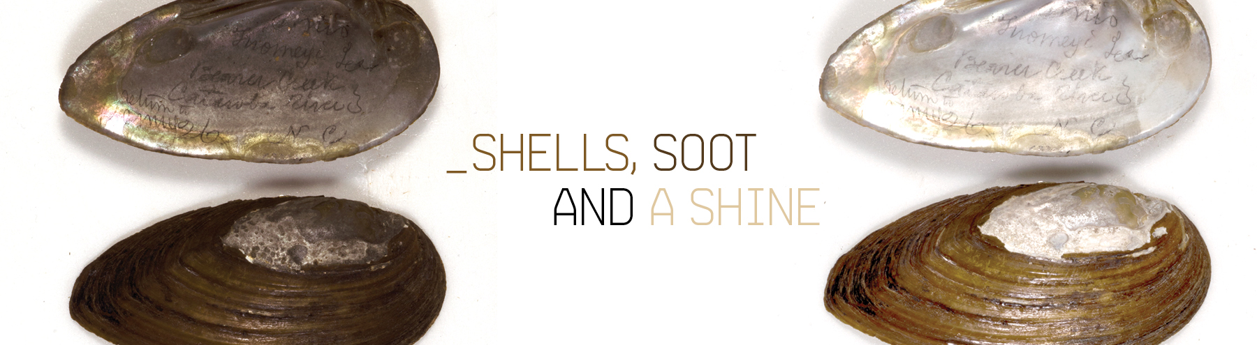 Shells, Soot and a Shine