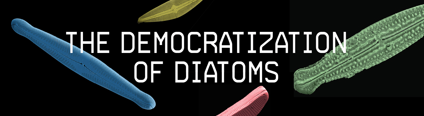 The Democratization of Diatoms